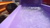 PurpleTorpedo